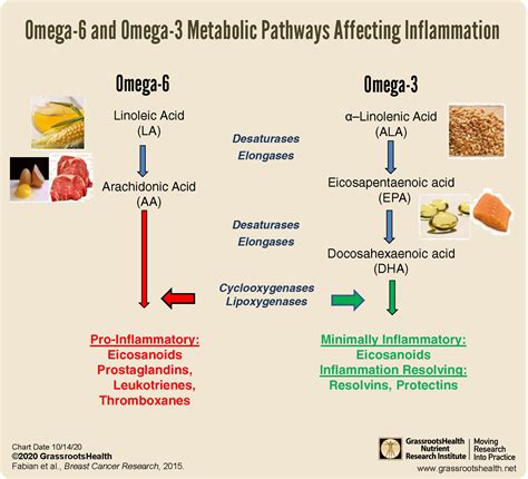 omega 6 and heart disease.